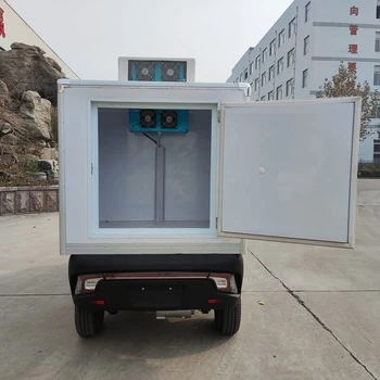 COC Food Delivery With Refrigeration System Loading 300kg