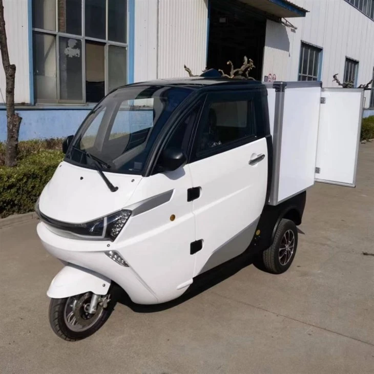 EEC L5e 3-wheel Urban Using J1-C Electric Mini Cargo Box Car