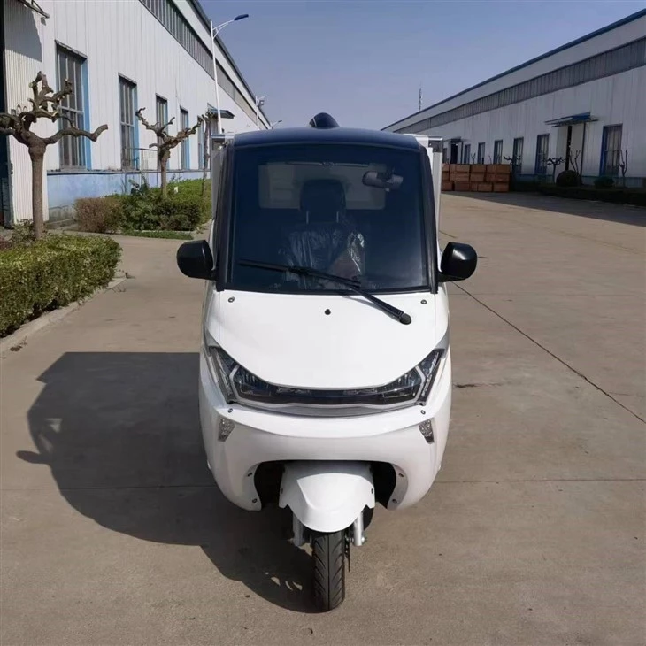 EEC L5e 3-wheel Urban Using J1-C Electric Mini Cargo Box Car