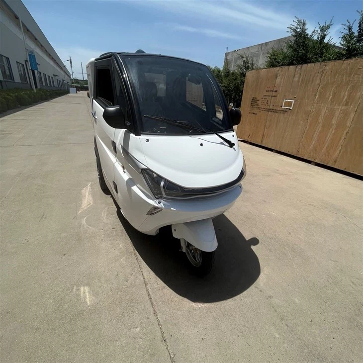Mini Electric Van Refrigeration Cargo Tricycle For Sale